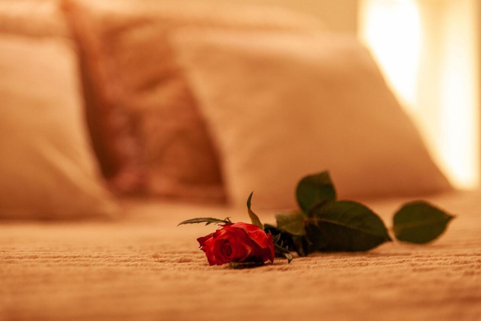 Love Room Perpignan Jacuzzi & Ambiance Romantique Villeneuve-de-la-Raho Buitenkant foto